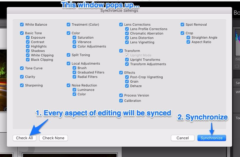 Lightroom synchronize settings window