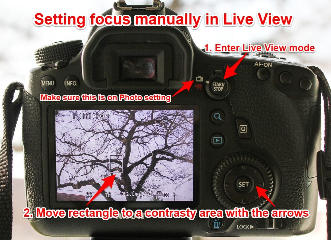 Canon manual focus in Live View mode