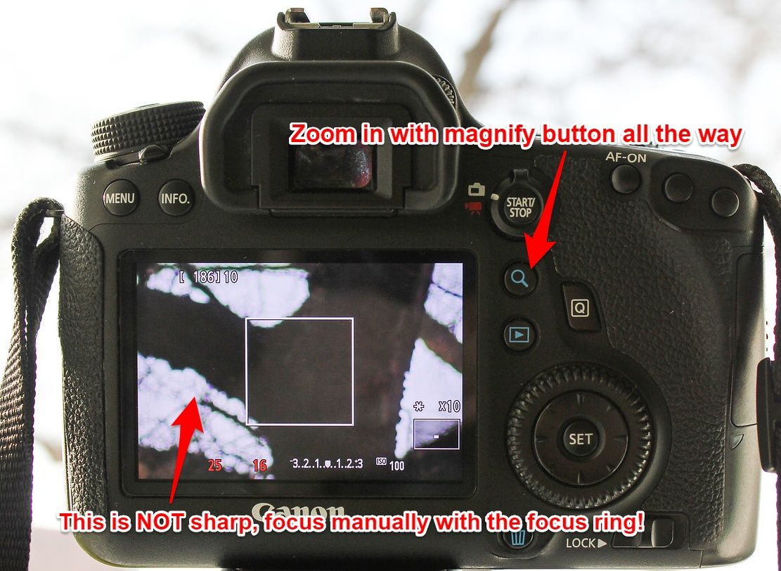 Canon manual focus in Live View mode