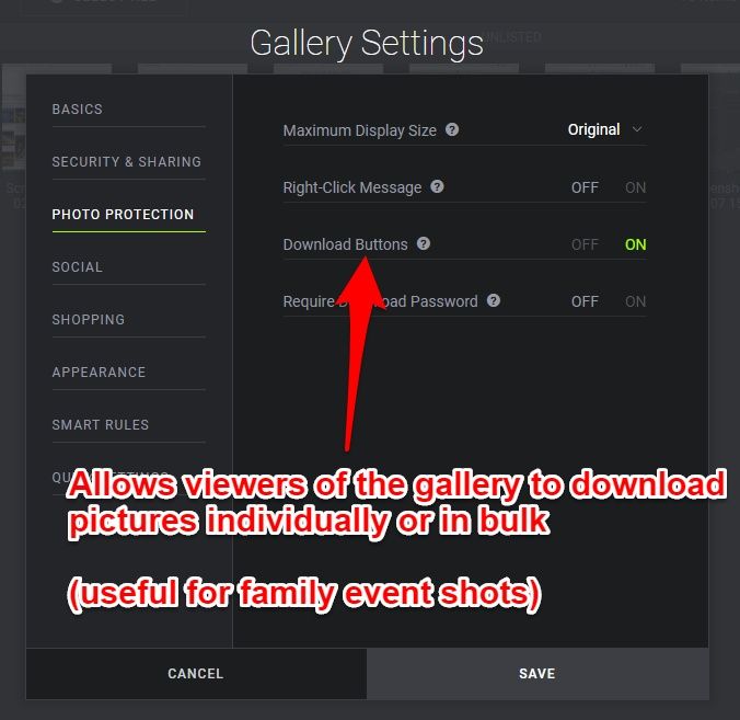 Smugmug photo protection settings