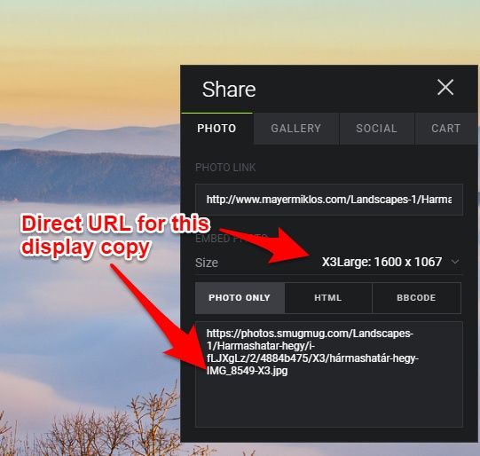 Smugmug single image sharing options