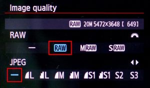 canon set file format to raw