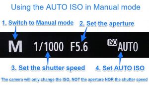 using Auto ISO in manual mode