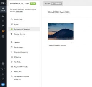 Pixpa ecommerce galleries