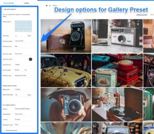 design options customize galleries at Pixpa