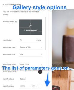 pixpa gallery style options tab
