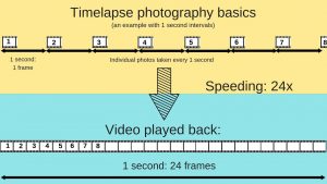 timelapse photography basics frame rate interval