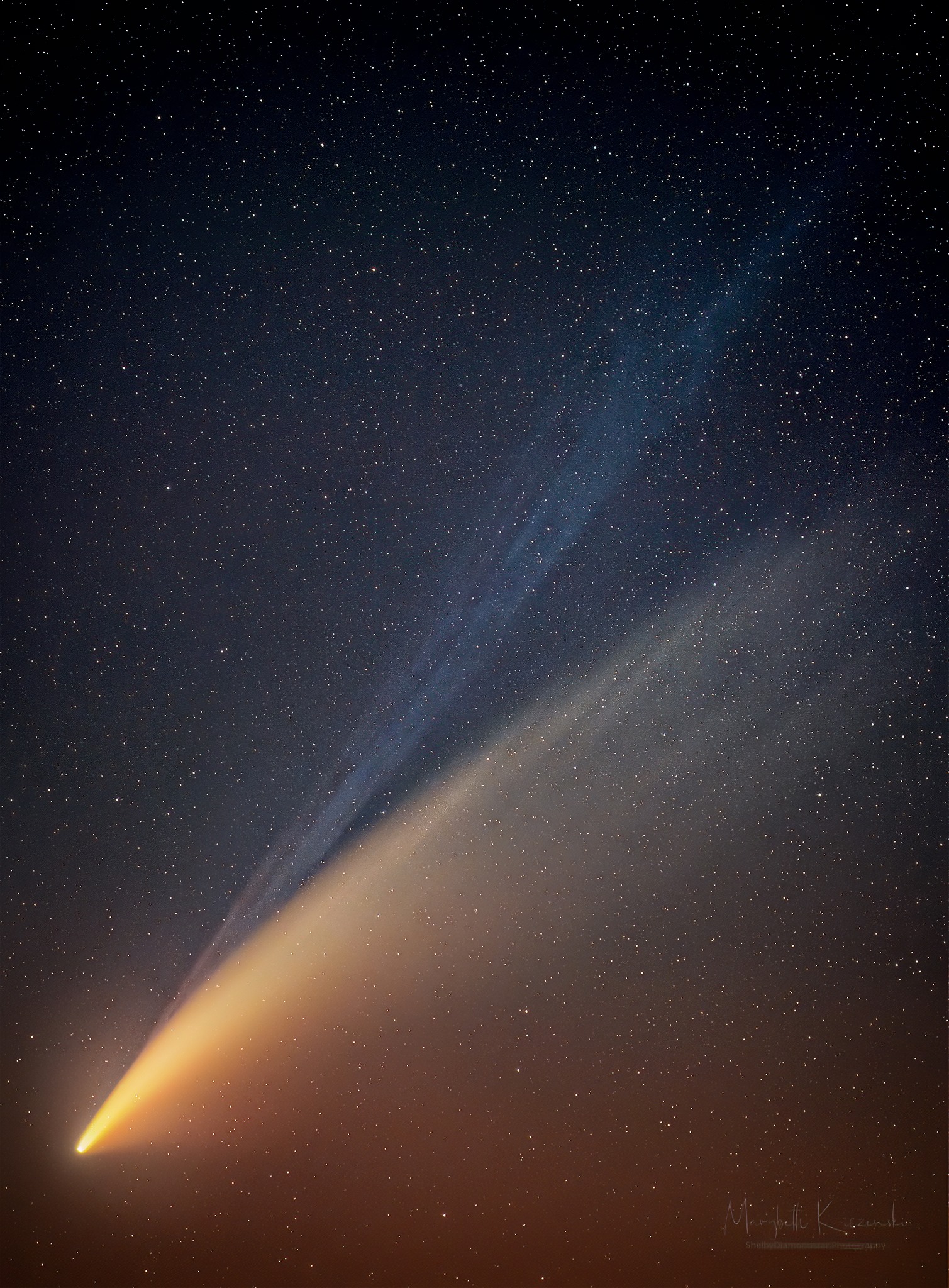 Comet Dust Tails