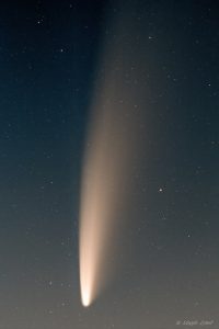 NEOWISE comet closeup