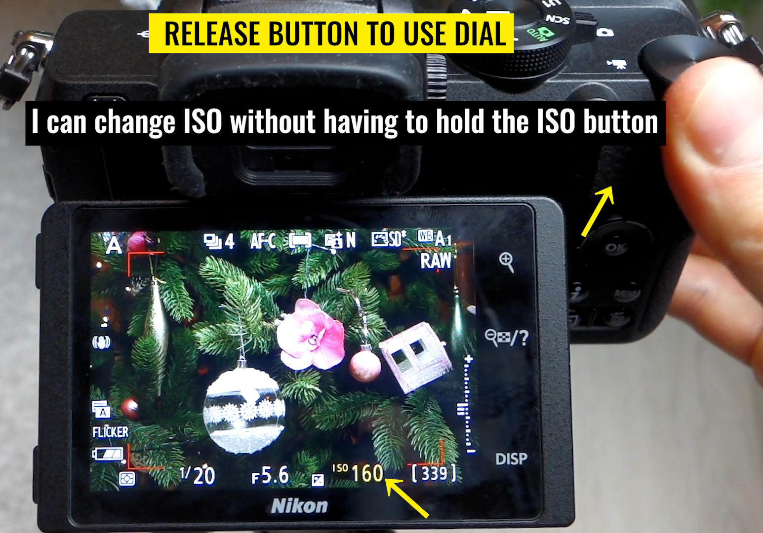 Nikon Z5 Functions and Controls Explained 